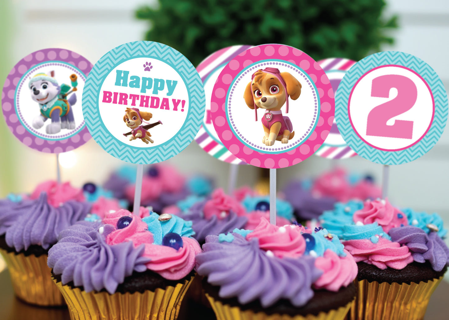 PAW PATROL Pink Cupcake Toppers! 2 Inch or 2.5 Inch! Digital OR Printed & Fully Assembled!
